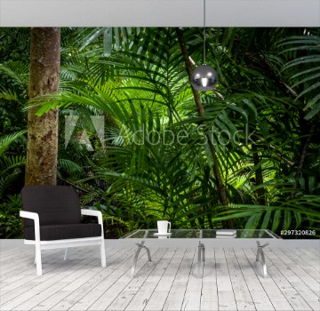 Picture of Tropical jungle Tropical rainforest with different trees